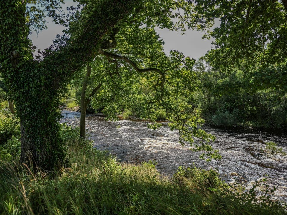 Experience the beauty of the Yorkshire Dales with a unique glamping stay