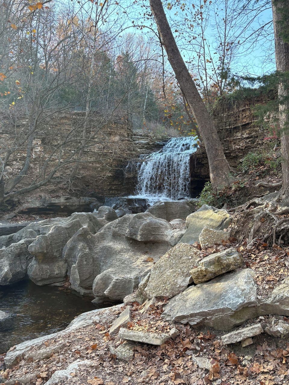 Tanyard Creek 