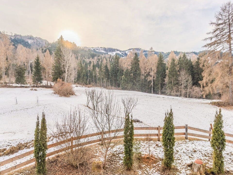 Tree, Winter, Snow, Branch, Freezing, Wilderness, Larch, Morning, Frost, Slope