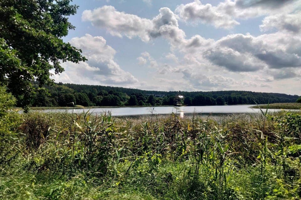 Immediate Surroundings [summer] (<1 km)