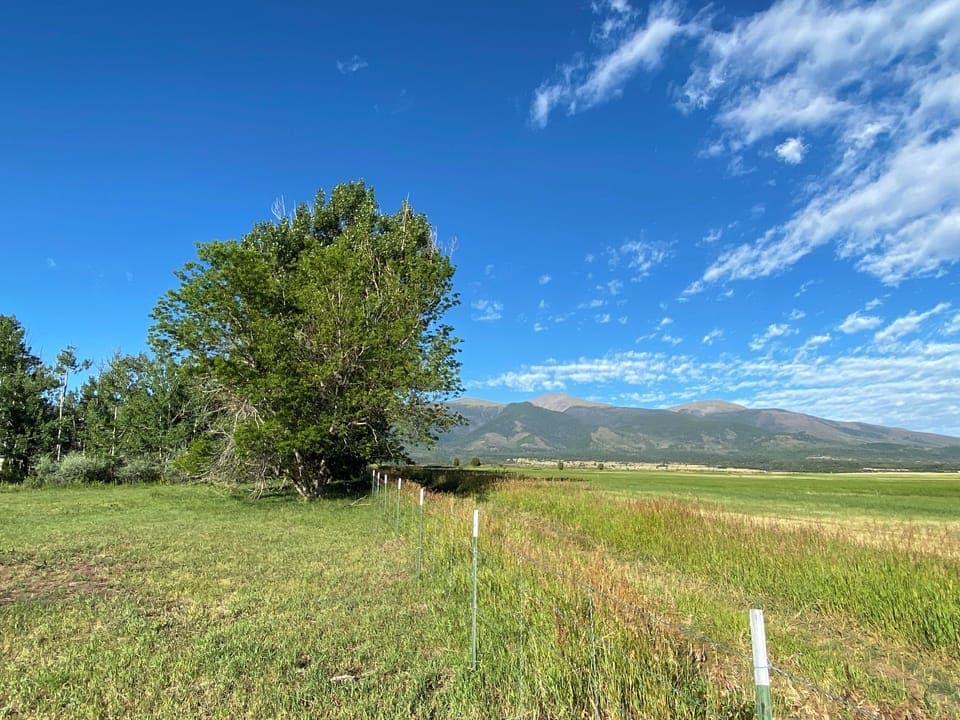 Edge of hayfield north of the house