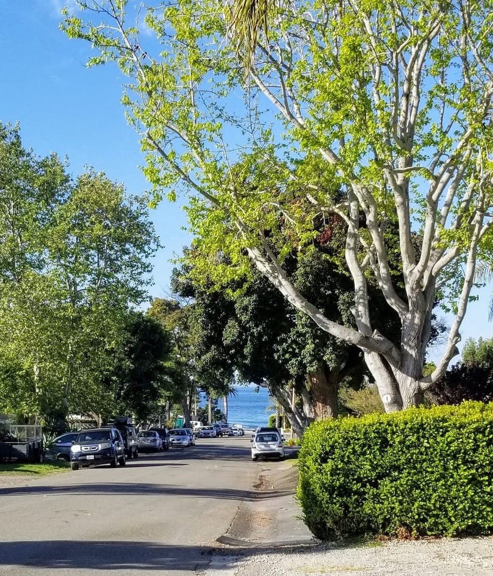Walk 1 block down quiet street to ocean bluffs and stairs to beach