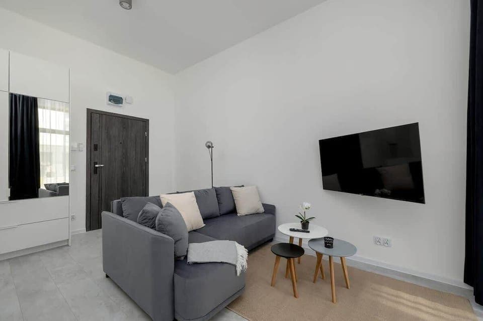 Bright studio apartment with a modern grey sofa, wall-mounted TV, and minimalist décor.