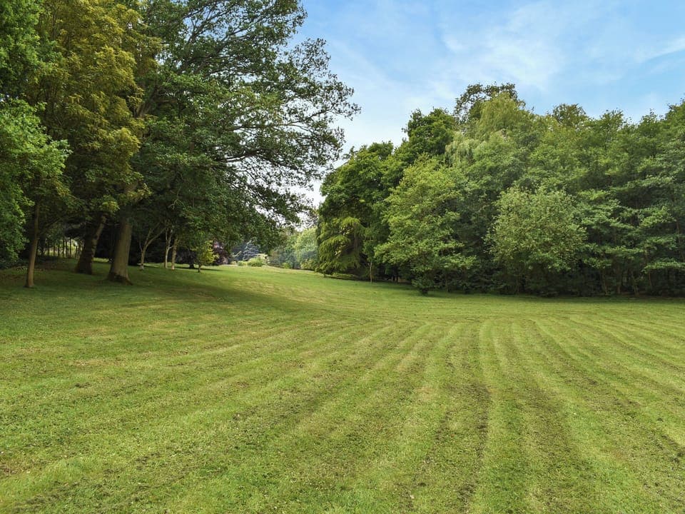Garden and grounds | Spring Vale Bungalow, Colchester