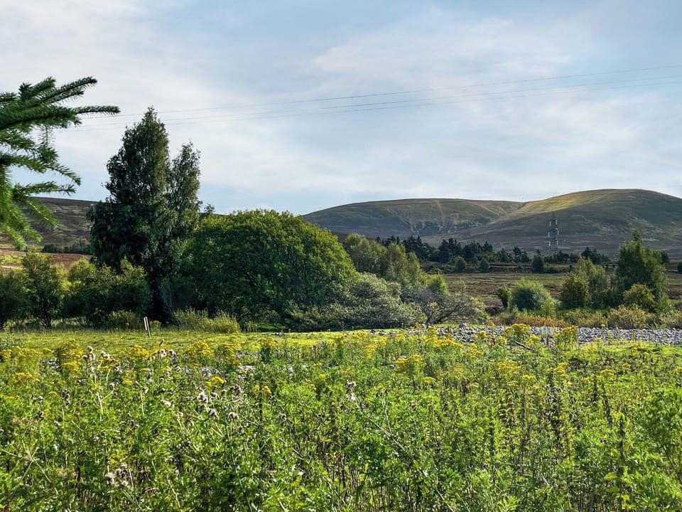 Surrounding area | River View, Dalwhinnie