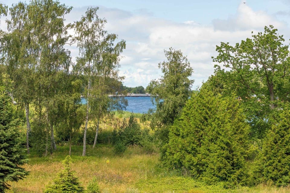 A field view with sparse trees and a glimpse of water or a lake in the distance.