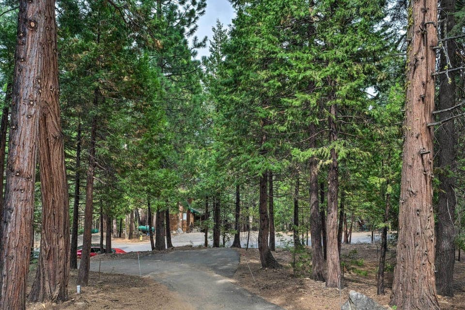 Property Exterior | Driveway (4 Vehicles) | Trailer Parking Allowed