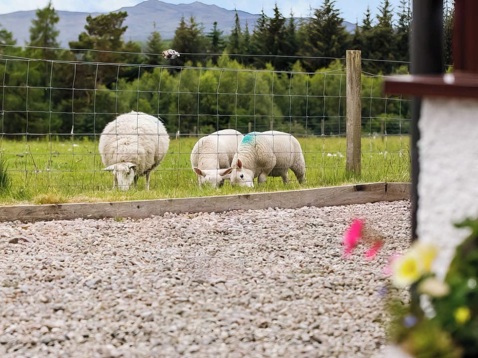 Exterior | Drumlea Cottage, Bonar Bridge, near Lairg