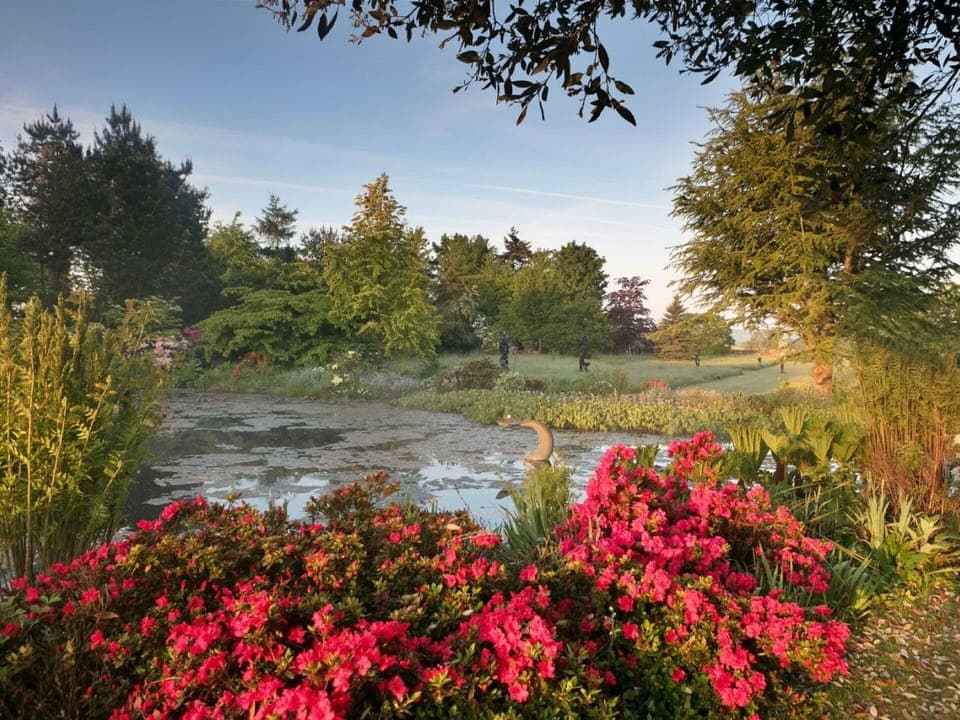 Flower, Nature, Leaf, Vegetation, Natural Landscape, Garden, Shrub, Plant Community, Groundcover, Spring