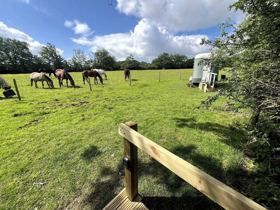 d7436777-6333-4bea-ae65-1e575d024595