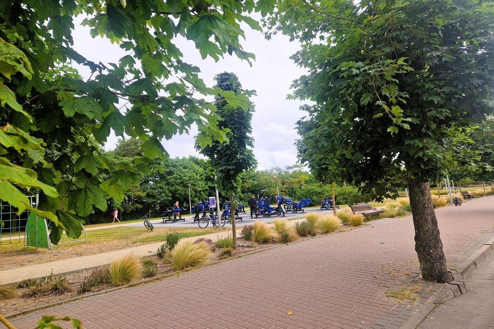 Immediate Surroundings [summer] (<1 km)