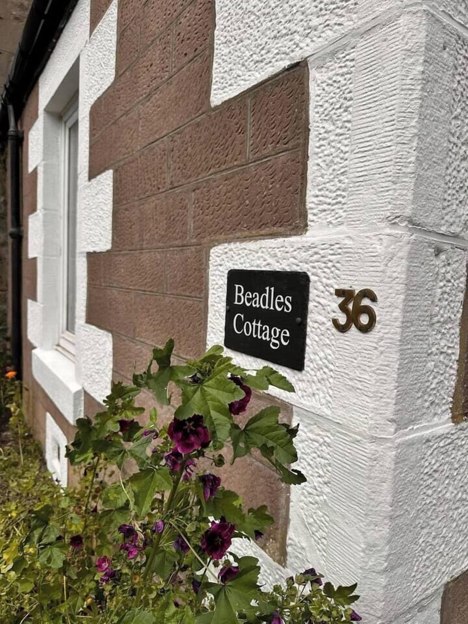 12a33833-998a-4752-9a30-91241db93148