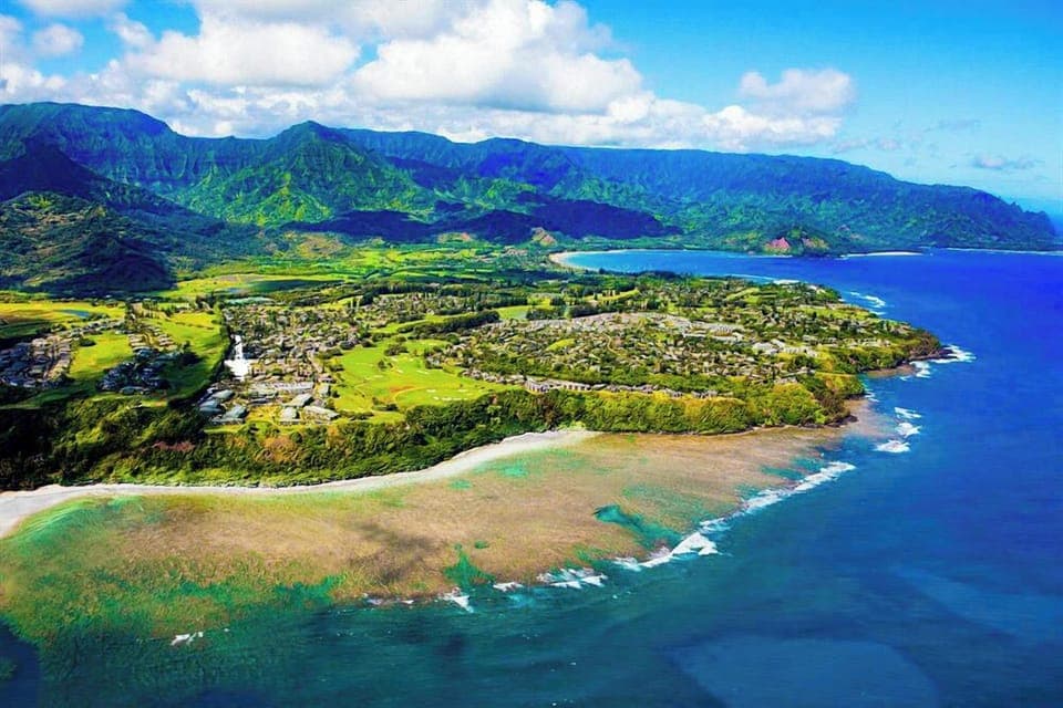 d1a537dc-98e5-4913-8f29-cef8ed777e87