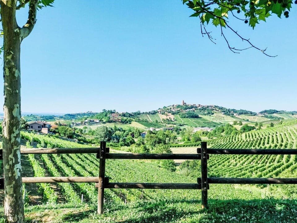 Natural Landscape, Grassland, Landscape, Hill, Land Lot, Fence, Rural Area, Field, Meadow, Pasture