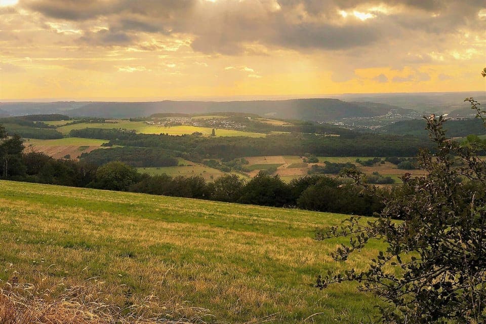 Region [summer] (>5 km)