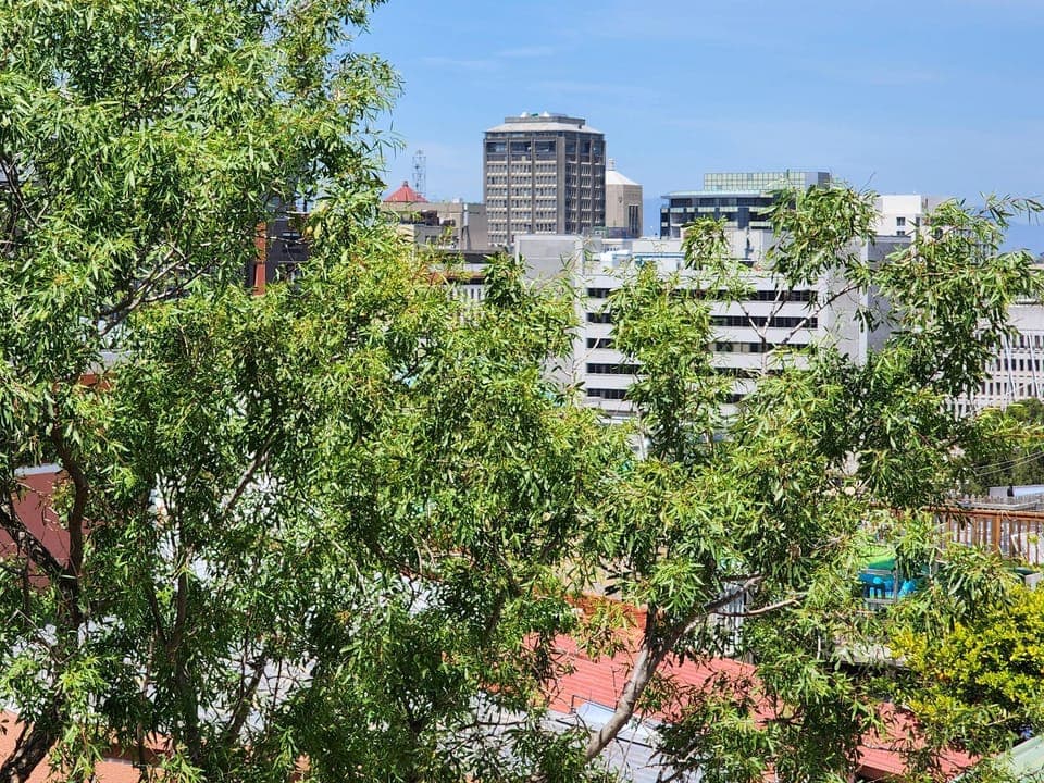 Historical BoKaap Hidden Gem (25510)