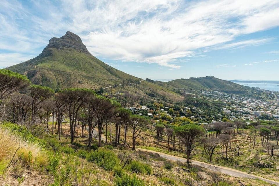 Spacious Gem  Outdoor Space (9675)