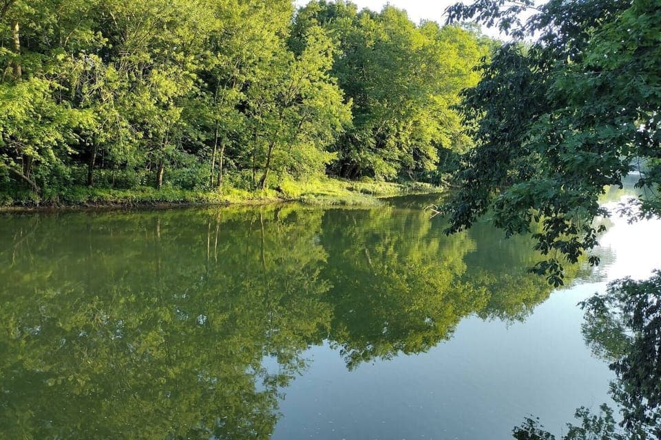 c35cd129-05af-4a49-98e9-b0e2b6489cd4