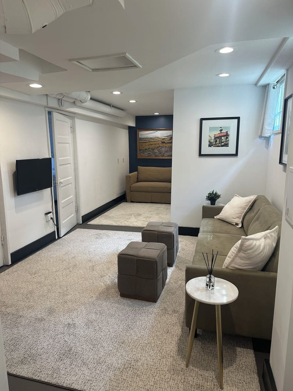 Living room with sofa, Roku TV, Chair with single bed pullout.