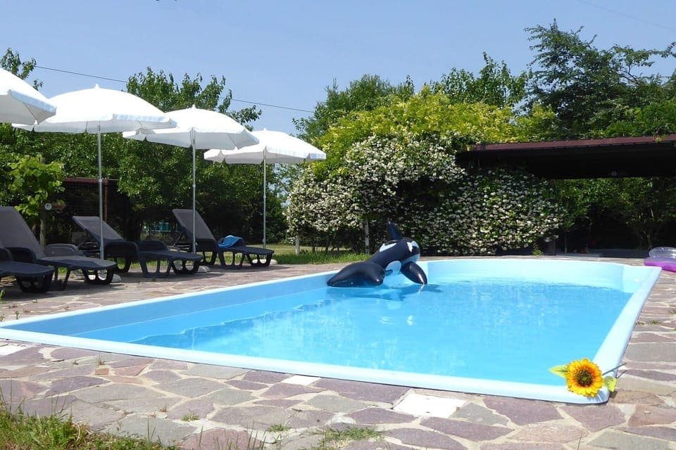 Autumn, Pool, Spring, Summer