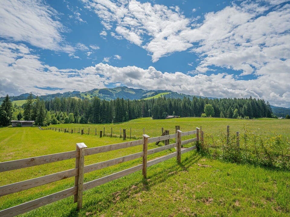 Blue, Green, Grass, Tree, Mountainous Landforms, Natural Environment, Nature, Grassland, Natural Landscape