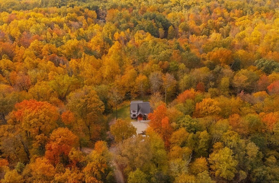 Fall Drone Shot