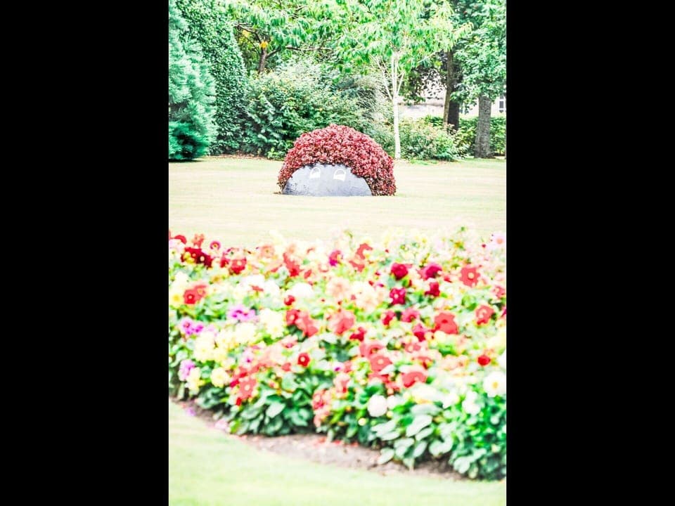 Red, Shrub, Garden, Petal, Groundcover, Spring, Landscaping, Lawn, Botanical Garden