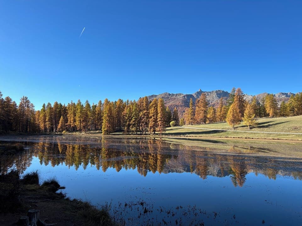 CEILLAC - FALL COLORS (2)