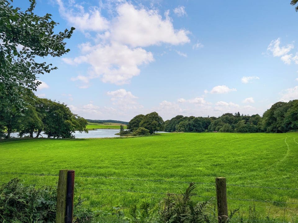 View | Cassiopeia - Galloway Glamping, Castle Douglas