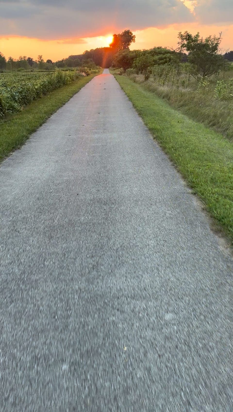 Trail that is walking distance from house