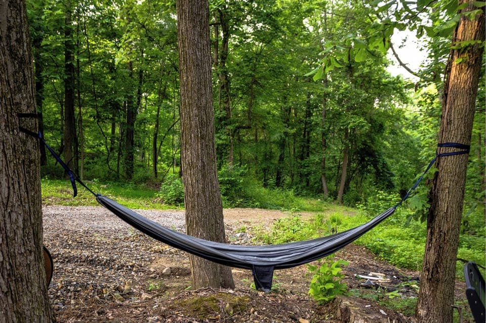 Hammock