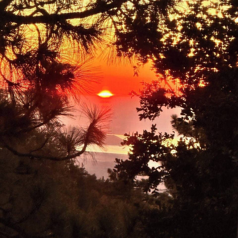 Sunset view from dining room. 