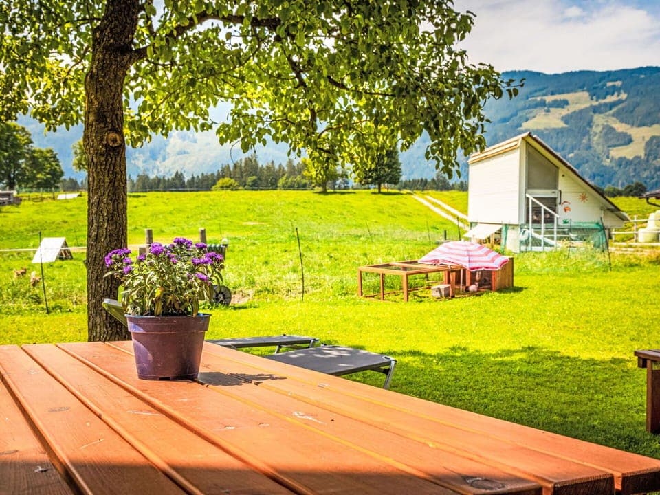 Grass, Grassland, Rural Area, Summer, Plain, Land Lot, Landscape, Meadow, Cottage, Lawn