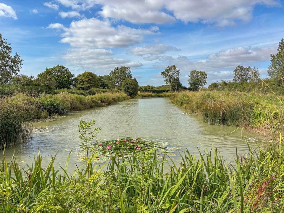 gorgeous lake enjoy fishing or just the wildlife | Rose Chalet - Framlingham Retreats, Framlingham