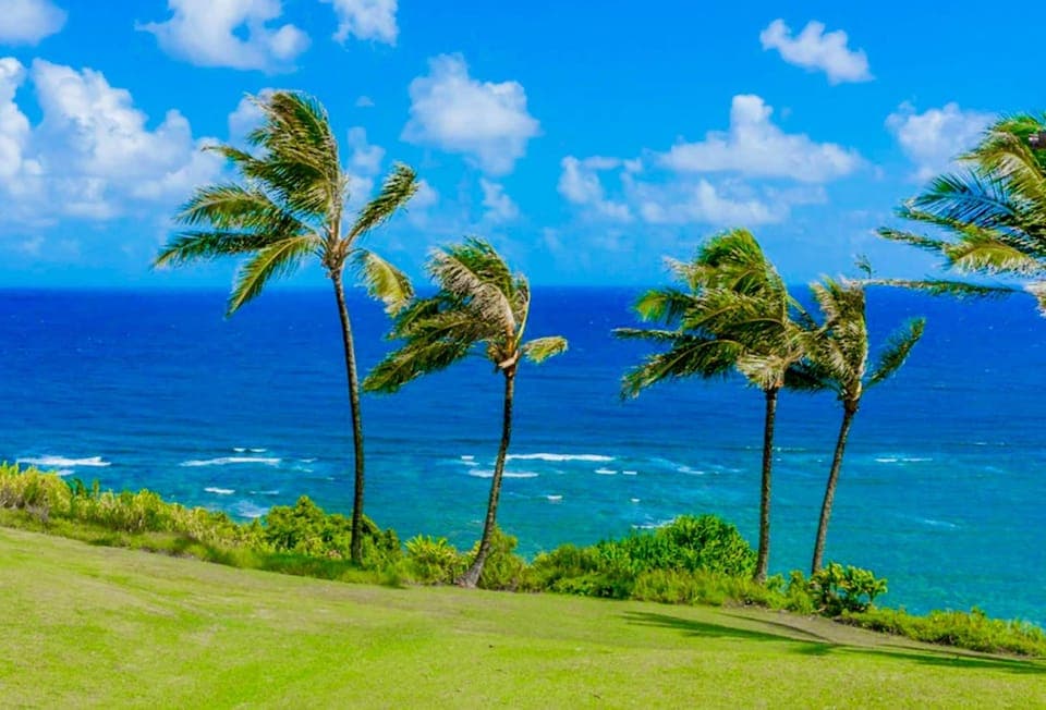 Breathtaking ocean views from the townhome!