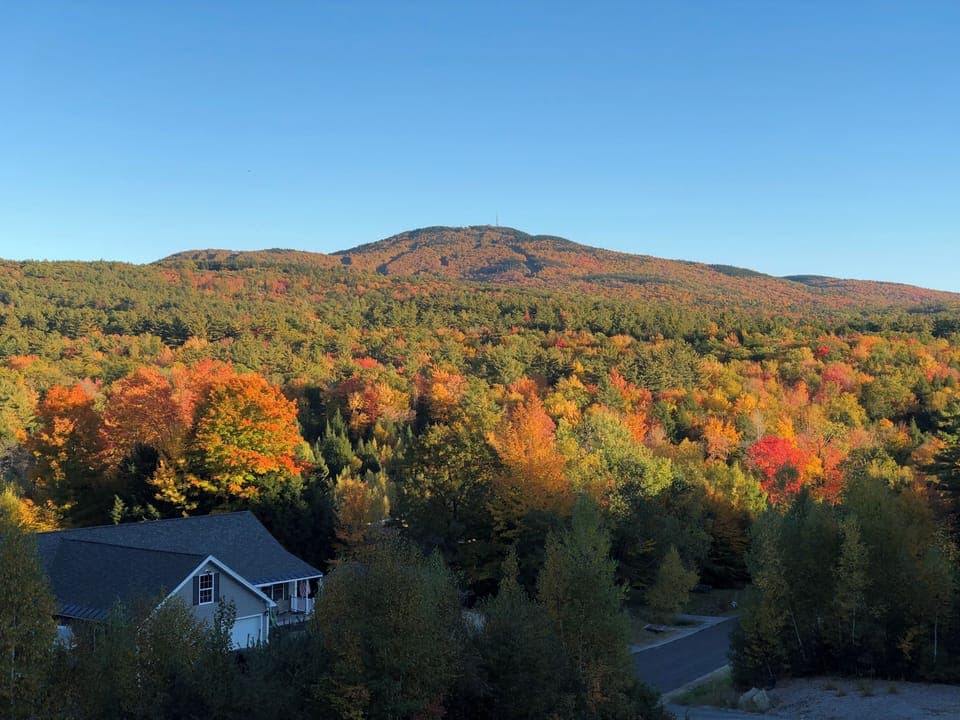 Fall