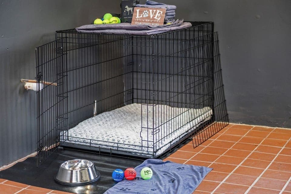 Breezeway space for your dog comes with cage, bed, bowl, dog food, toys, waste bags, and more