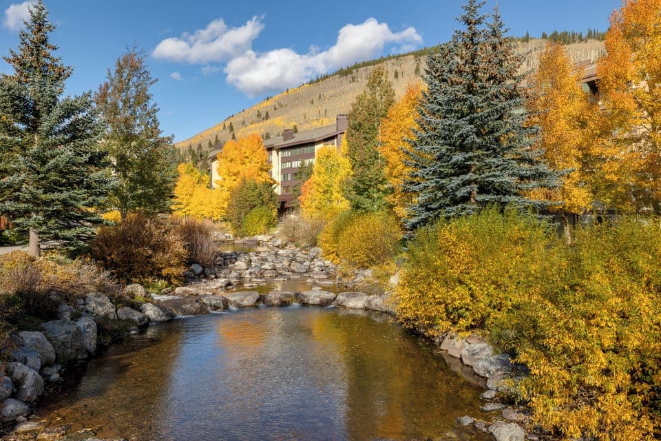 Views surrounding the complex