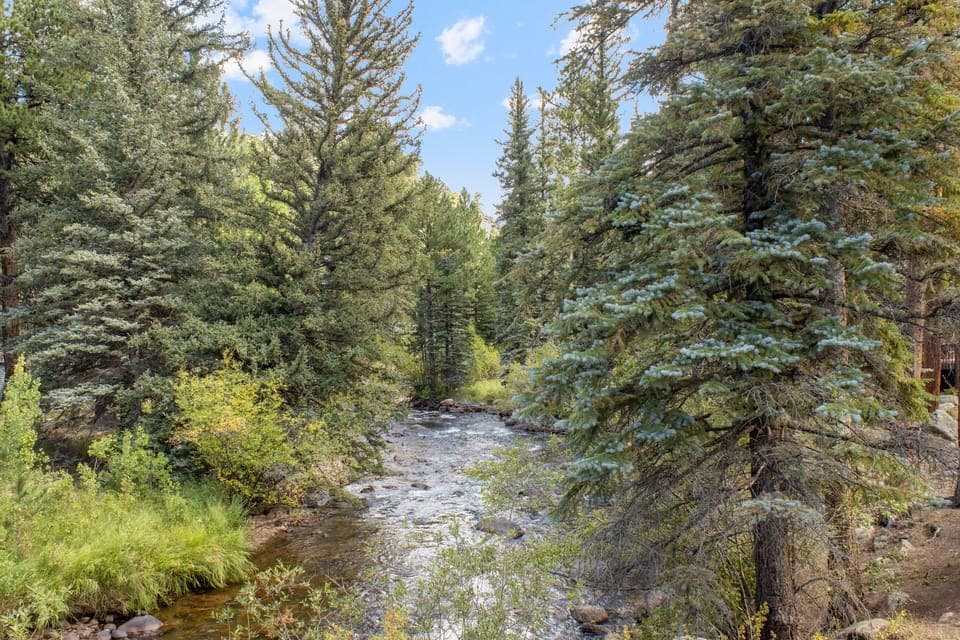 Tree, Fir, Creek, Nature, Outdoors