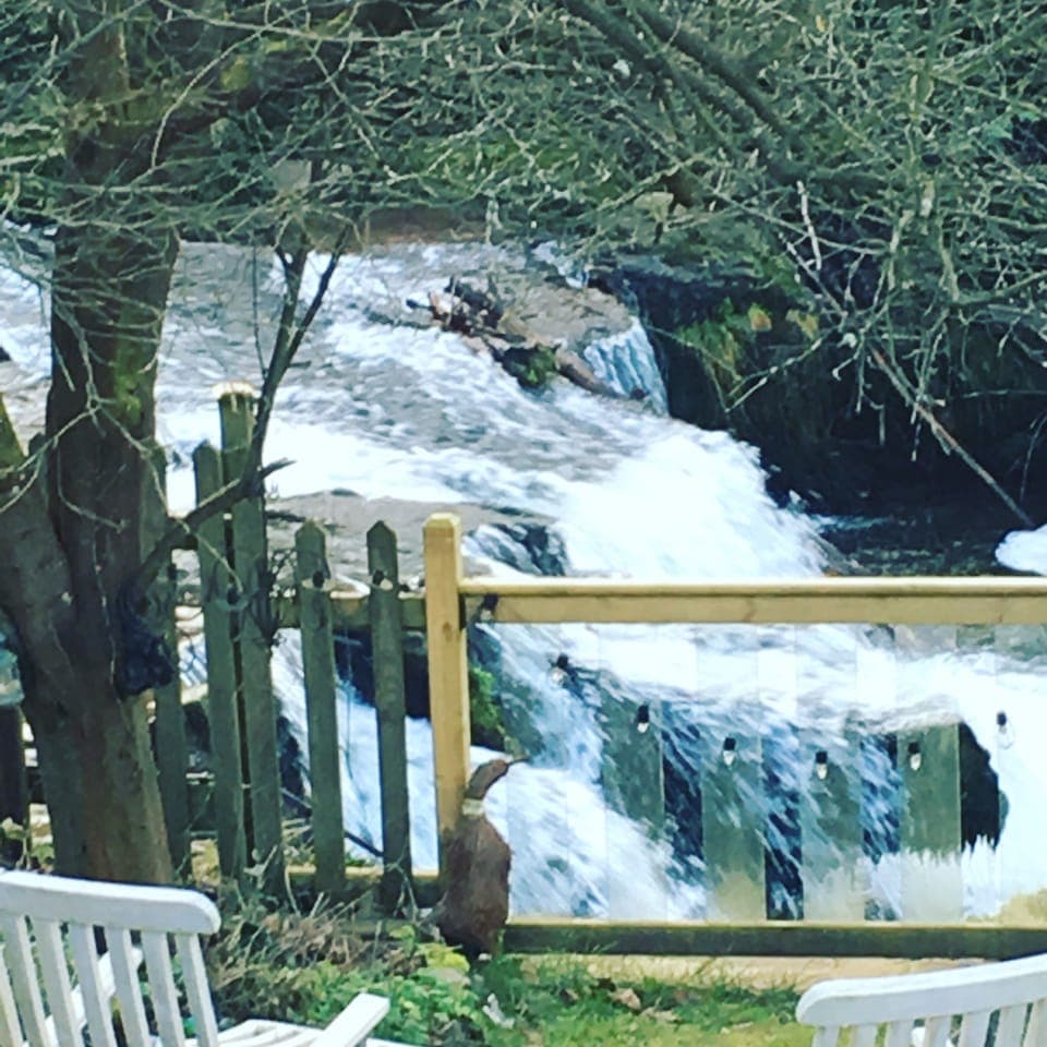 Relax on the balcony overlooking the waterfall @ riversounds _bnb