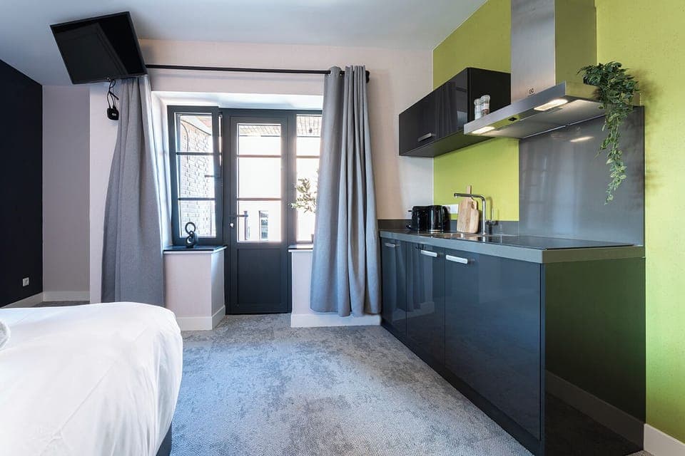 Modern studio with private kitchenette, comfy bed, and natural light.