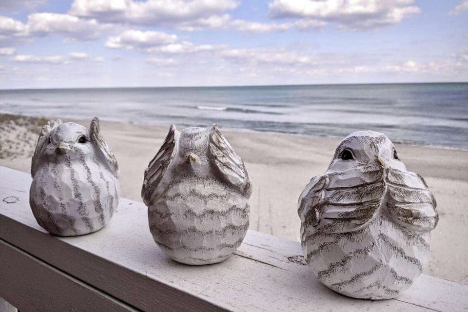 Three Little Birds