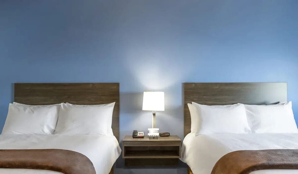 Drift off on crisp linens in a calm, modern space.