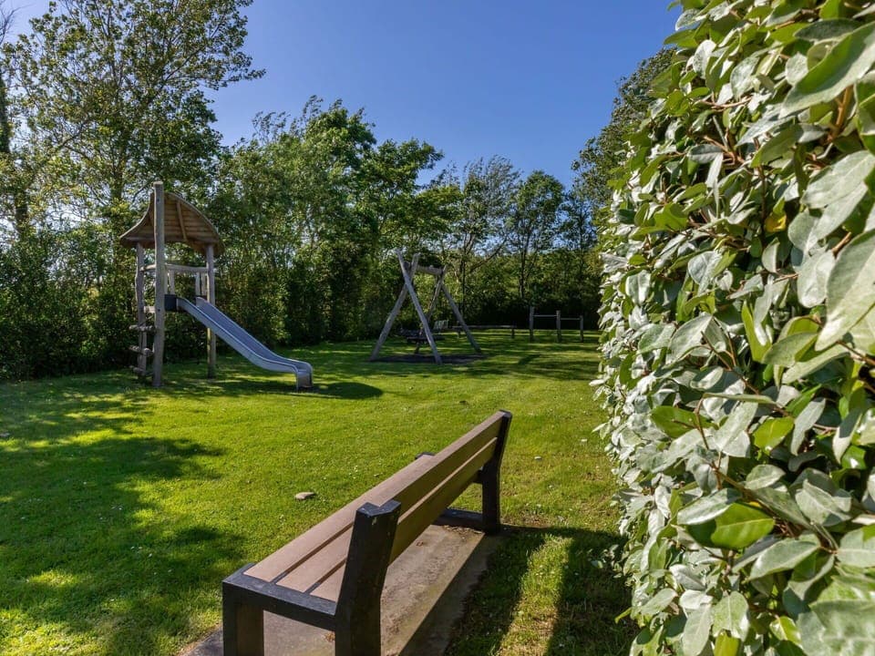 Grass, Shrub, Garden, Lawn, Shade, Park, Landscaping, Yard, Backyard, Artificial Turf