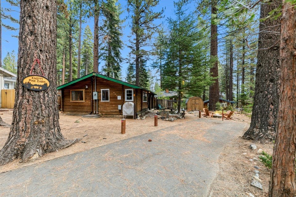 Cozy cabin retreat nestled among towering pine trees