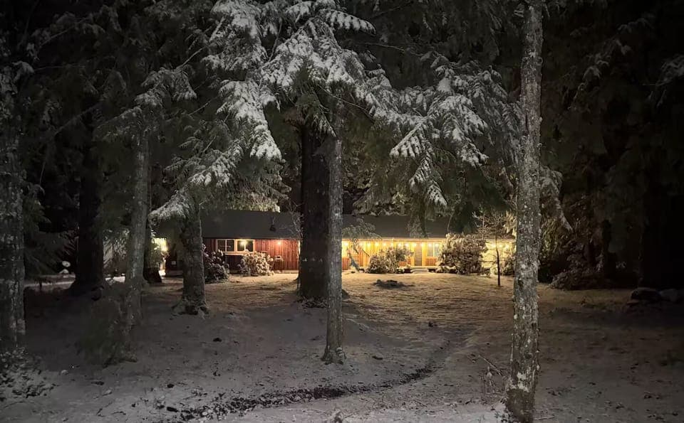Peaceful forest retreat in its winter coat