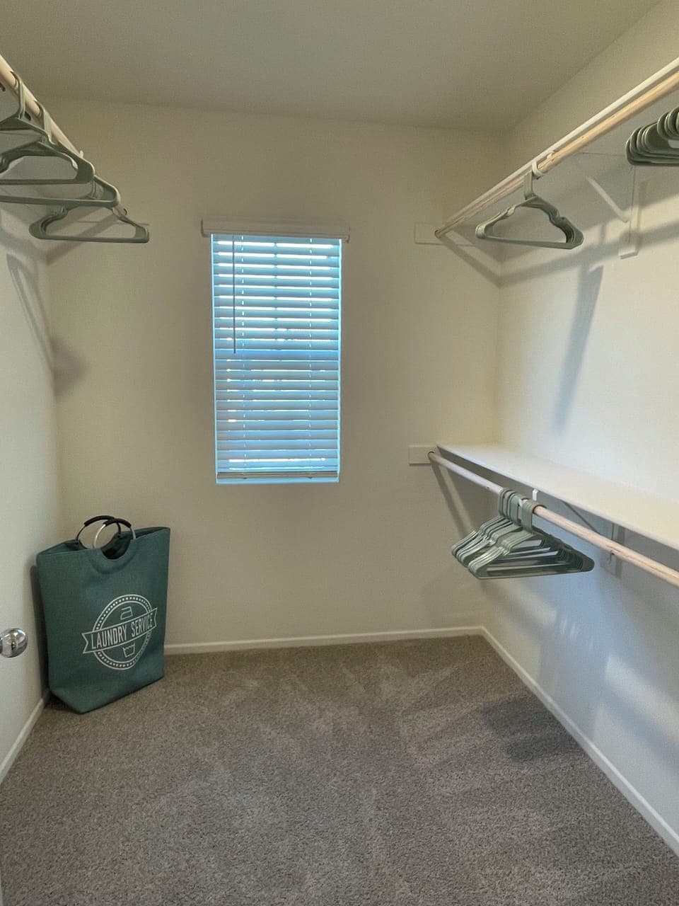 Primary Bedroom Walk-in Closet