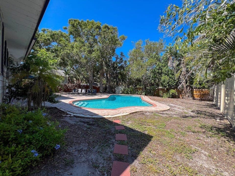 Pool & Backyard