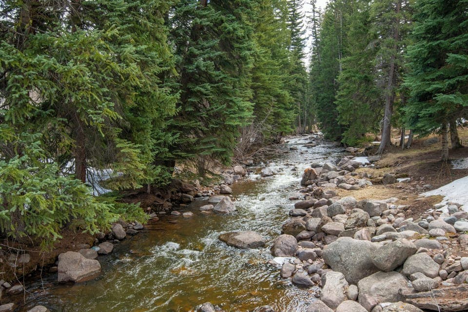 Timber Falls