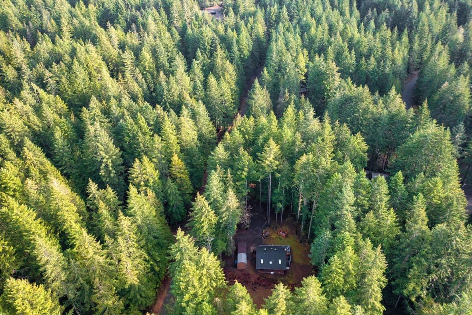 Nestled among the trees in a quiet neighborhood.